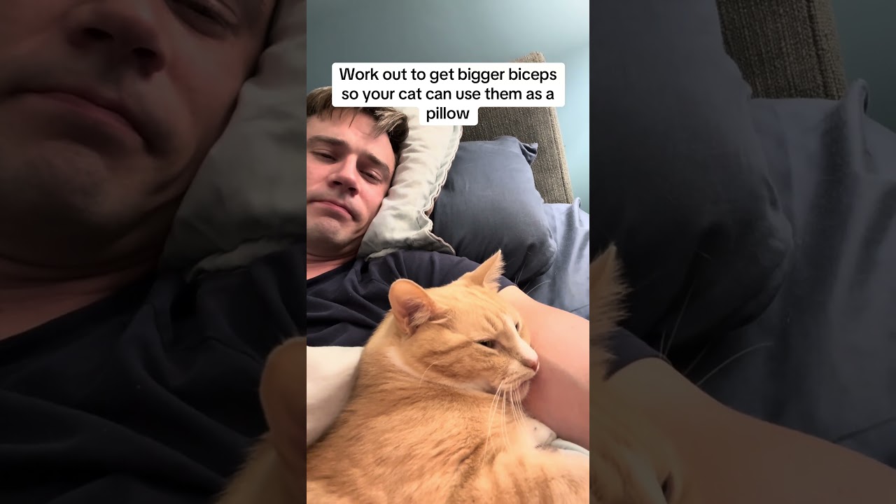 Lift Weights For Your Cat